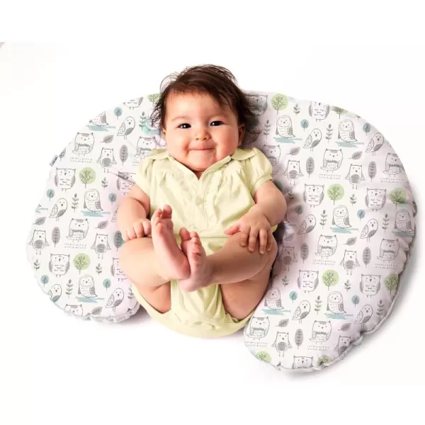 Graco Rainy Day Baby Feeding Pillow, Bottle/Breastfeeding Head &amp; Back Positioner, Nursing Support, Slipcovered Infant Lounger