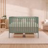 imageDream On Me Synergy 5In1 Convertible Crib In Black JPMA ampamp Greenguard Gold Certified Constructed out of solid reclaimed New Zealand Pine wood Features 3 mattress height settingsMeadow Green