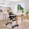 imageDream On Me Solid Times High Chair for Babies and Toddlers in Grey Multiple Recline and Height Positions Lightweight Portable Baby High Chair 5 point Safety Harness Easy to Clean SurfaceBlack