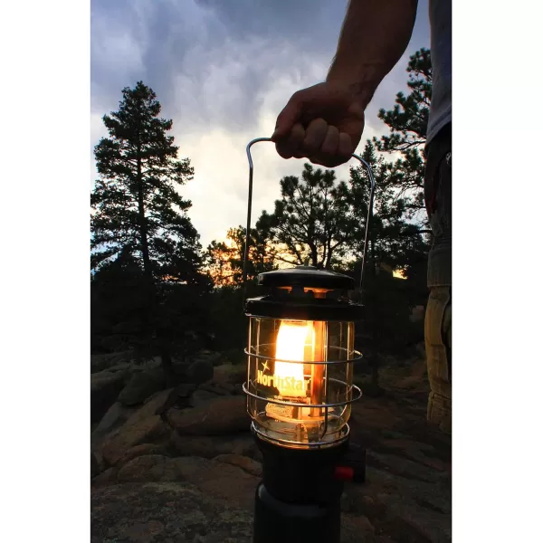 Coleman NorthStar 1500 Lumens 1-Mantle Propane Lantern, Push-Button Instastart Ignition with Pressure Regulator and Mantle Included, Great for Camping, Power Outage, Emergencies, &amp; Home Use