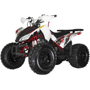 imageColeman Powersports AT125Y 120cc Gas Powered Youth ATV Hydraulic Disc Brakes Independent Suspension 175 lbs Maximum Load HeavyDuty OffRoad Utility Vehicle
