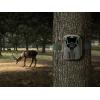 image:imageColeman CHD200 1080p HD Xtreme Trail Camera Camouflage