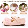 image:imageADAMUMU Toddler Dress Shoes Flower Girl Shoes for Weeding Cute Toddler Mary Jane Shoes Lace Flore Ballet Flat for Walking JumpingFive Flowers Pink