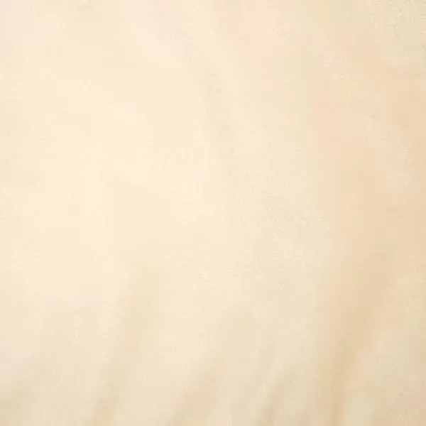 Laura Ashley Lucas Solid Shinny Velvet Dec. Pillow Set, 20 in. x 20 in, Ivory 2 Count
