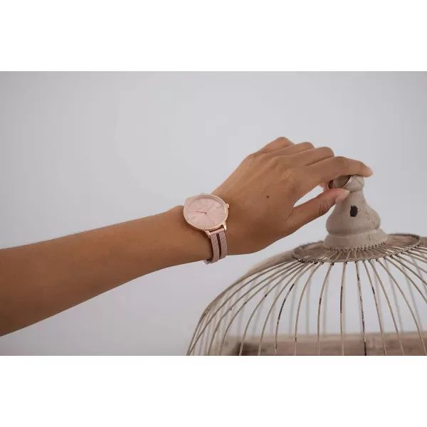 Laura Ashley Women's Round Case Split Mesh Band Sunray Dial Watch 