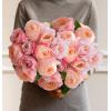 imageLaura Ashley Enas Garden 24 Garden Roses Bouquet Fresh Cut Flowers Floral Delivery All Occasion Gift