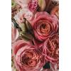 imageLaura Ashley Mathildes Bouquet Fresh Cut Flowers Floral Delivery All Occasion Gift