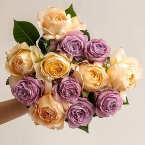 imageLaura Ashley Country Roses 18 Garden Roses Bouquet Fresh Cut Flowers Floral Delivery All Occasion Gift