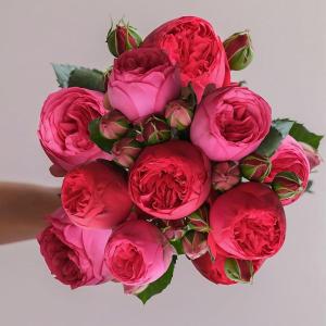 imageLaura Ashley Pettywell 24 Garden Roses Bouquet Fresh Cut Flowers Floral Delivery All Occasion Gift