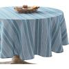 Blue Stripe