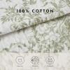 imageLaura Ashley  Queen Quilt Set Reversible Cotton Bedding with Matching Shams Lightweight Home Decor for All Seasons Bedford GreenOffWhite QueenGreenWhite
