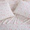 imageLaura Ashley  Standard Pillowcase Set Breathable Percale Cotton Bedding Crisp ampamp Cool Home Decor Evie Yellow 2 PieceNorella Pink