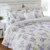 imageLaura Ashley  Queen Quilt Set Reversible Cotton Bedding with Matching Shams Lightweight Decor for All Seasons Keighley Lilac QueenLilac