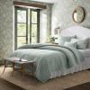 imageLaura Ashley  Queen Quilt Set Solid Velvet Reversible Bedding All Season Home Decor with Shams ampamp Bonus Pillow Cover Diamond Stitch Dark Green QueenDiamond Stitch Sage Green