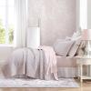 imageLaura Ashley Queen Quilt Set Lightweight Cotton Bedding with Matching Shams Vintage Floral Inspired Home Decor with Solid Reverse Loveston Pink QueenLoveston Pink