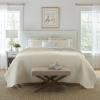 imageLaura Ashley Felicity Collection Quilt Set100 Cotton Reversible All Season Bedding with Matching Shams PreWashed for Added Softness Queen Breeze BlueIvory