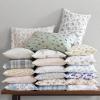 imageLaura Ashley  Queen Sheet Set Cotton Flannel Bedding Brushed for Extra Softness ampamp Comfort Evie Pink QueenLe Fleur Orange