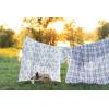 imageLaura Ashley  Queen Sheet Set Cotton Flannel Bedding Brushed for Extra Softness ampamp Comfort Evie Pink QueenVanessa Blue