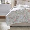imageLaura Ashley Home  Queen Duvet Cover Set Reversible Cotton Bedding with Matching Shams Breathable Home Decor for All Seasons Madelynn Blue QueenBlueGreenPink
