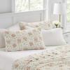 imageLaura Ashley  Queen Sheets Cotton Percale 6Piece Bedding Set Crisp ampamp Cool Home Decor Marissa Coral QueenMarissa RedGreenOff White