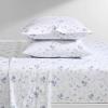 imageLaura Ashley  Queen Sheets Soft Sateen Cotton Bedding Set  Sleek Smooth ampamp Breathable Home Decor Evie Pink QueenGarden Muse BlueWhite