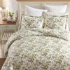 imageLaura Ashley  Twin Duvet Cover Set Reversible Floral Cotton Bedding with Matching Sham MediumWeight for Year Round Use Dorm Essentials Arundel GreyRoses Gold