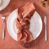image:imageLaura Ashley Napkins Raised Woven Embroidered Jacquard Fabric Wrinkle Resistant for Dining Holiday Party Wedding or Banquet Set of 6 Napkins Cynthia WhiteMaple Spice