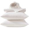 image:imageLaura Ashley  Twin XL Sheet Set 100 Cotton Percale Bed Sheets with Pillowcase Cooling and Breathable Crisp and Smooth Feel Deep Pocket Fitted Sheet Chelsie Vine Yellow