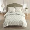 image:imageLaura Ashley  Queen Comforter Set Soft amp Reversible Cotton Bedding with a Lightweight Feel for Year Round Comfort 3 Piece Bed Set with Matching Pillowcases Ribbon Bouquet RedWalled Garden Green