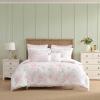 Serenity Roses/Mattie Stripe Pink