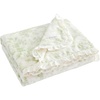 image:imageLaura Ashley  Plush Throw Blanket 50x70 Soft and Warm with a Lightweight Feel Reversible Floral Design with Stripe Reverse Bedford Pink PinkAnnalise Green